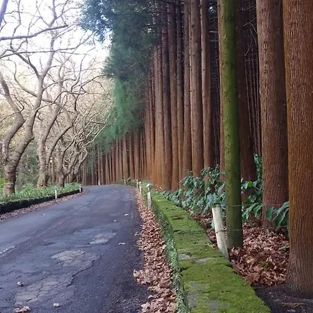 Casa Da Avo - Do Porto *
