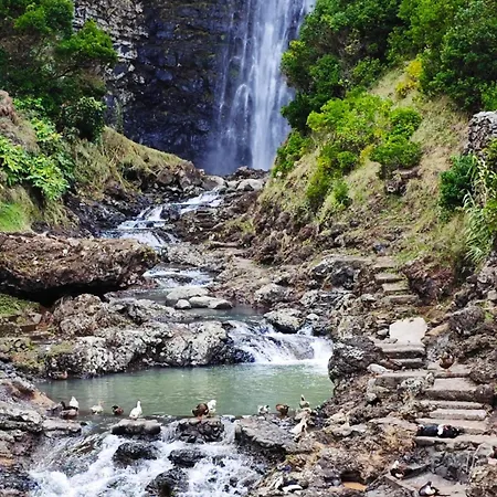 Casa Da Avo - Do Porto