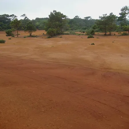 Casa Da Avo - Do Porto *
