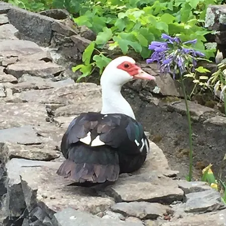 Casa Da Avo - Do Porto