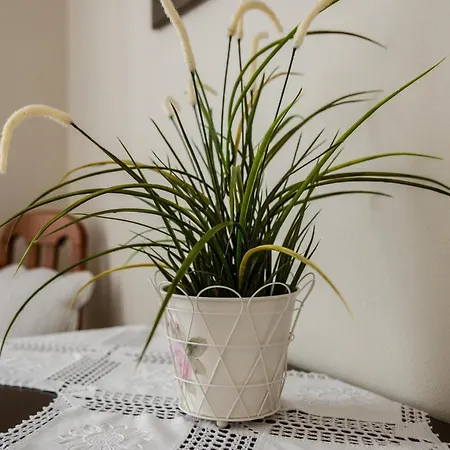 Casa Da Avo - Do Porto