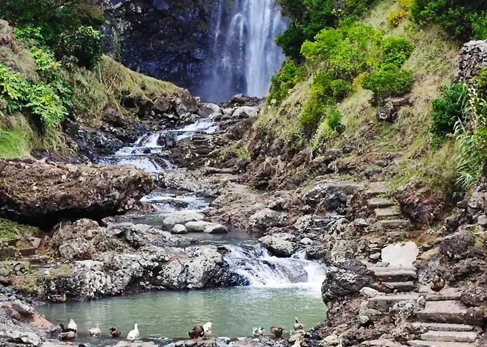 Casa Da Avo - Do Porto