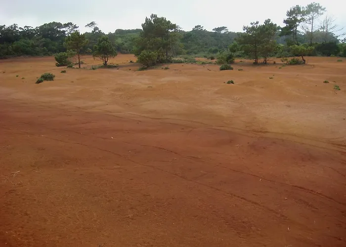 Casa Da Avo - Do Porto *