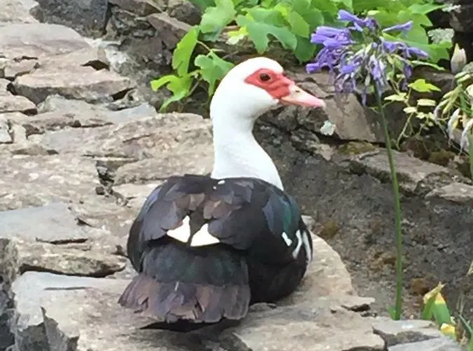 Casa Da Avo - Do Porto